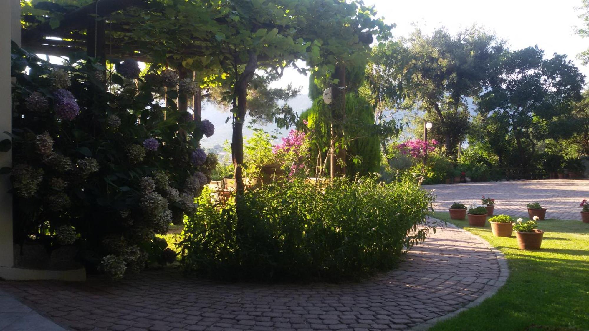 Villa Dimitra Skála Potamiás Exterior foto