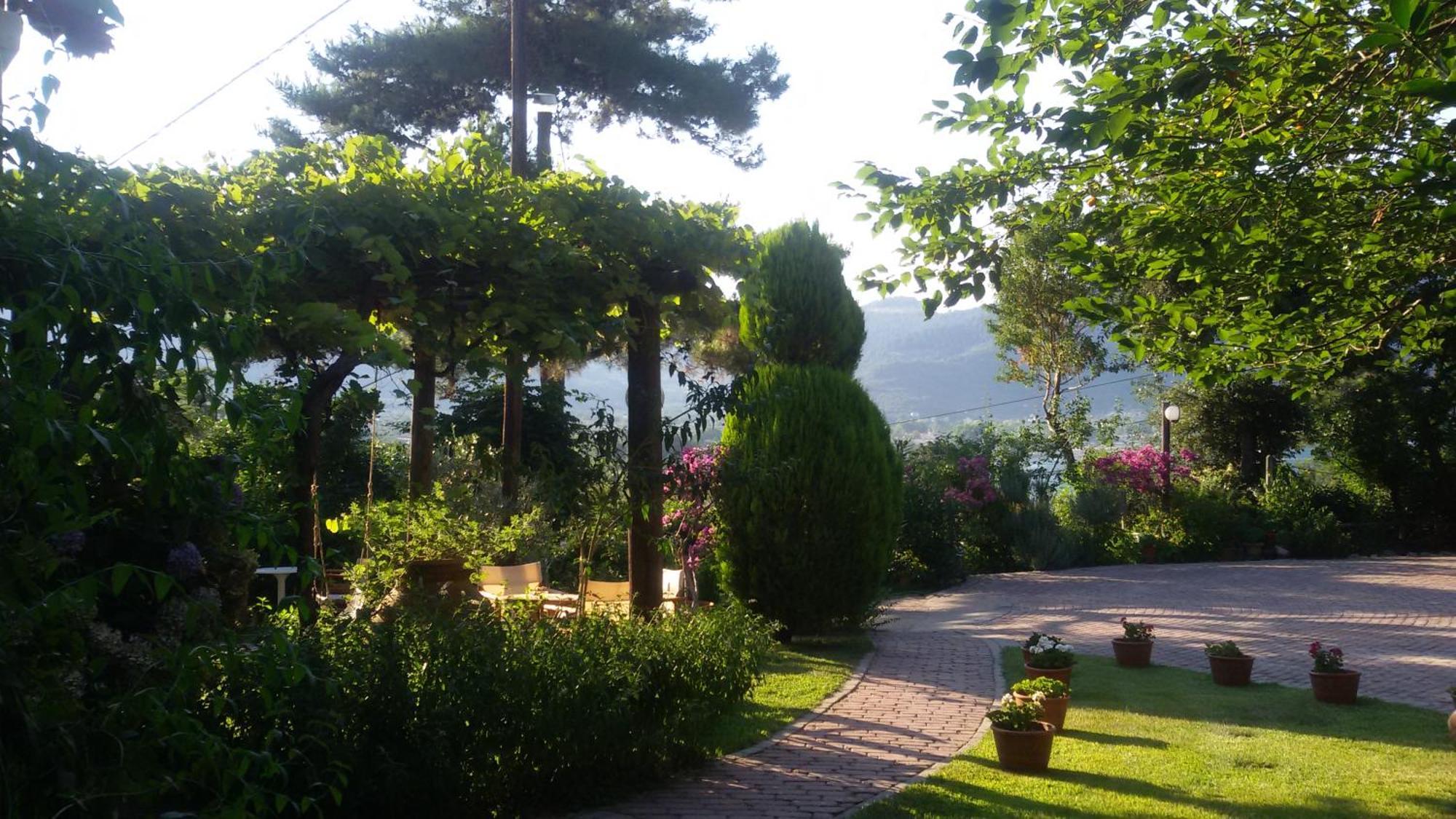 Villa Dimitra Skála Potamiás Exterior foto
